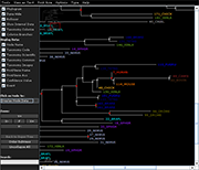 species colorization and gene duplication display