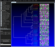 expression value display