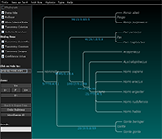 multiple support values